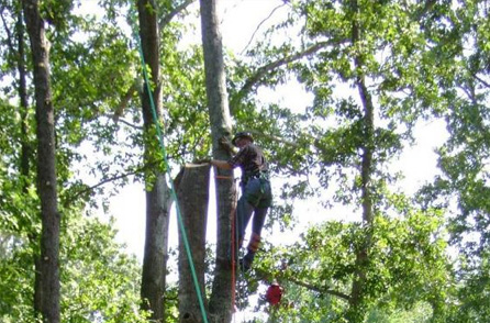 See Our Crew in Action!