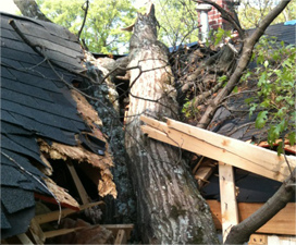 Damaged roof by a tree serviced by Chipper Trees LLC
